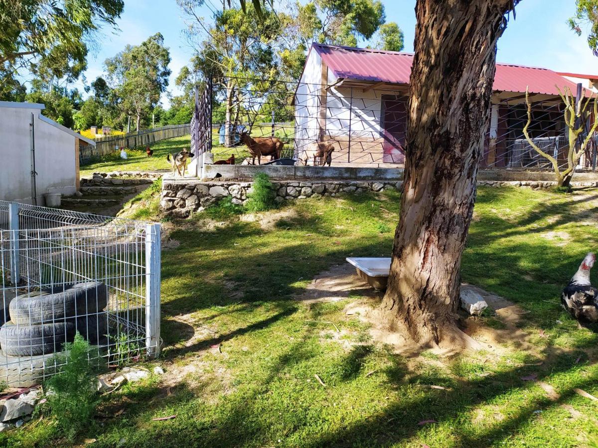 Herdade Da Hera Azambuja Exterior photo